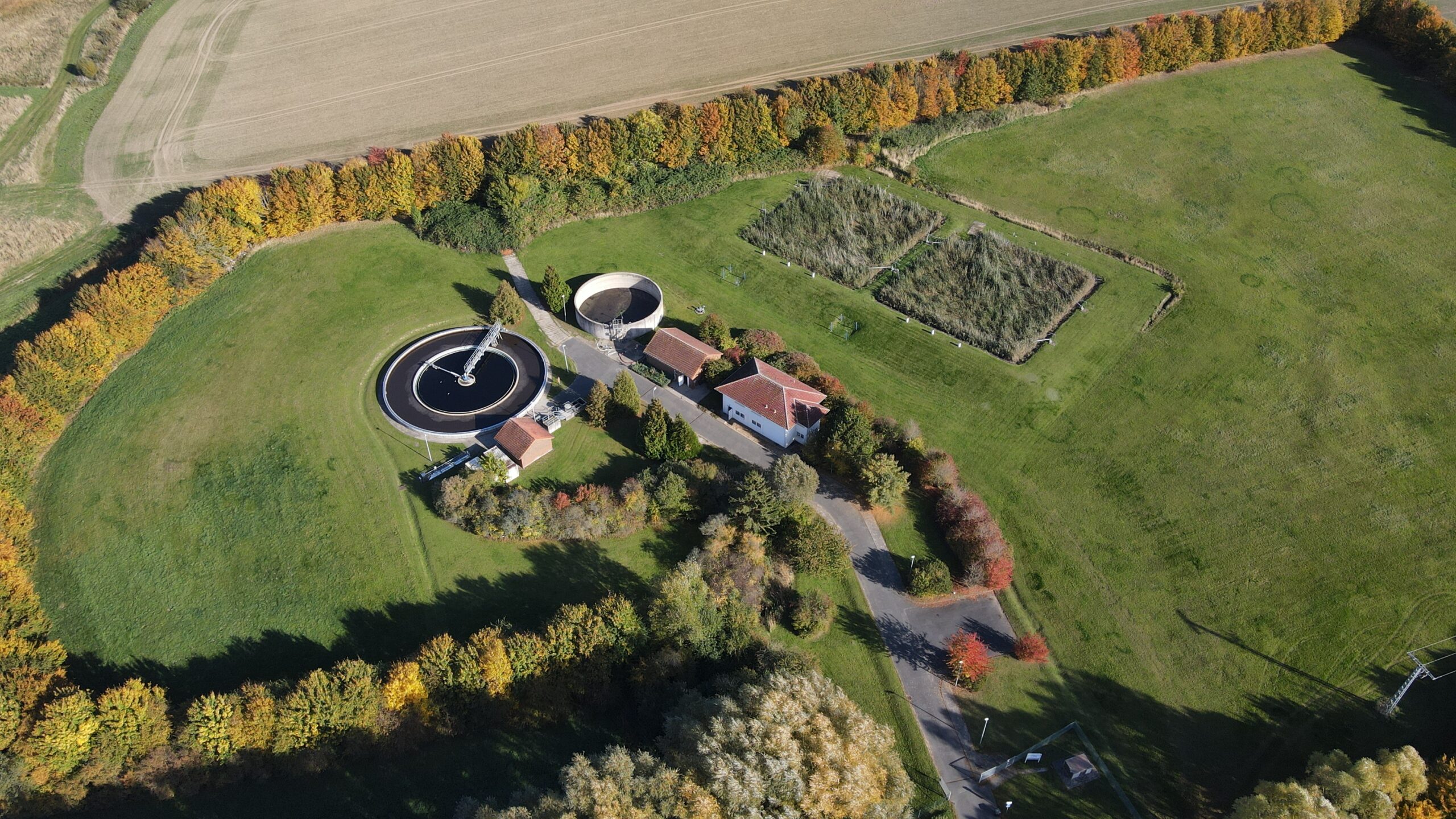 Dekoratives Bild im Kopf der Website